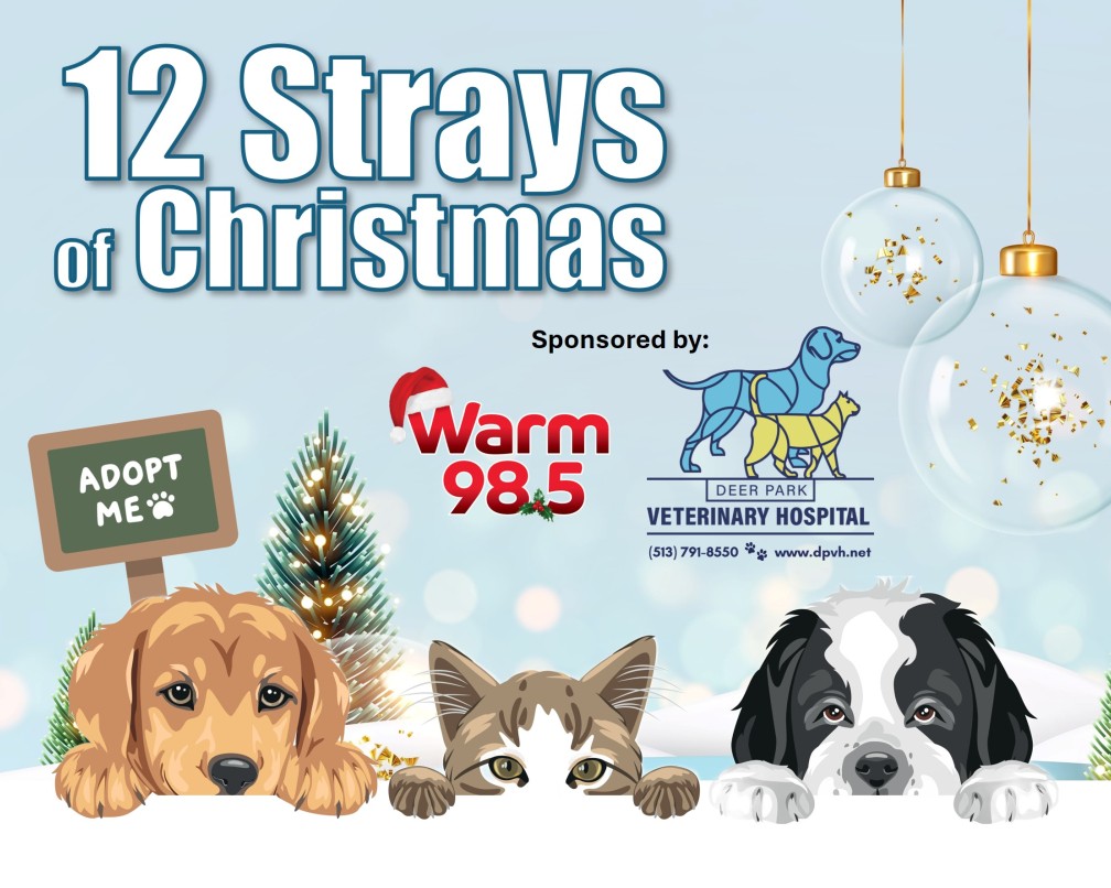 Warm 98.5 12 Strays of Christmas sponsored by Deer Park Veterinary Hospital