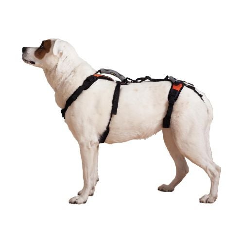 Help 'Em Up Harness Help 'Em Up Harness