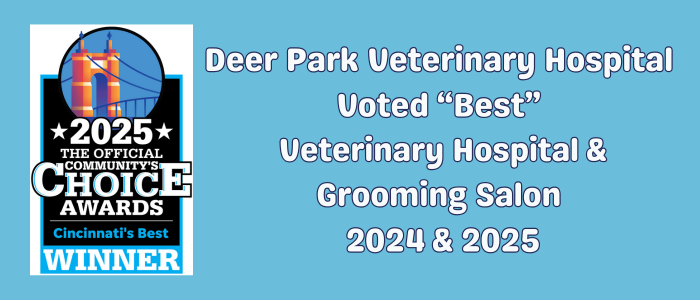 Cincinnati Best Winner 25