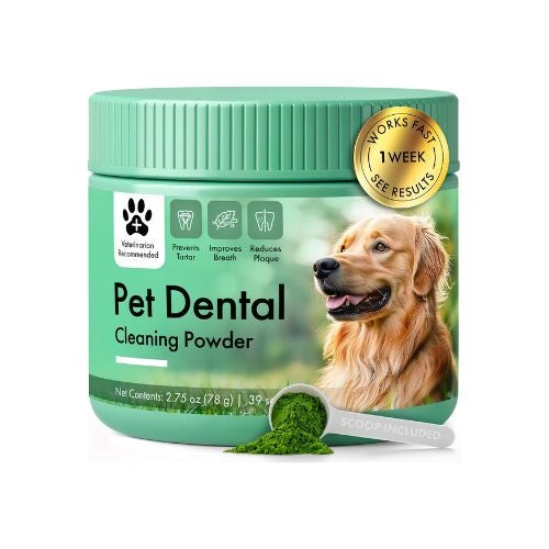 Dental Cleaning Powder Dental Cleaning Powder