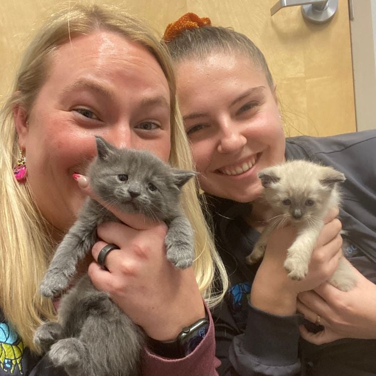 Kitten Care Nicole and Jaimee Holding Kittens