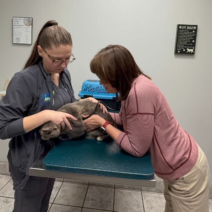 Natale Exam Puppy Dr. Natale and Nicole doing an exam on a cat