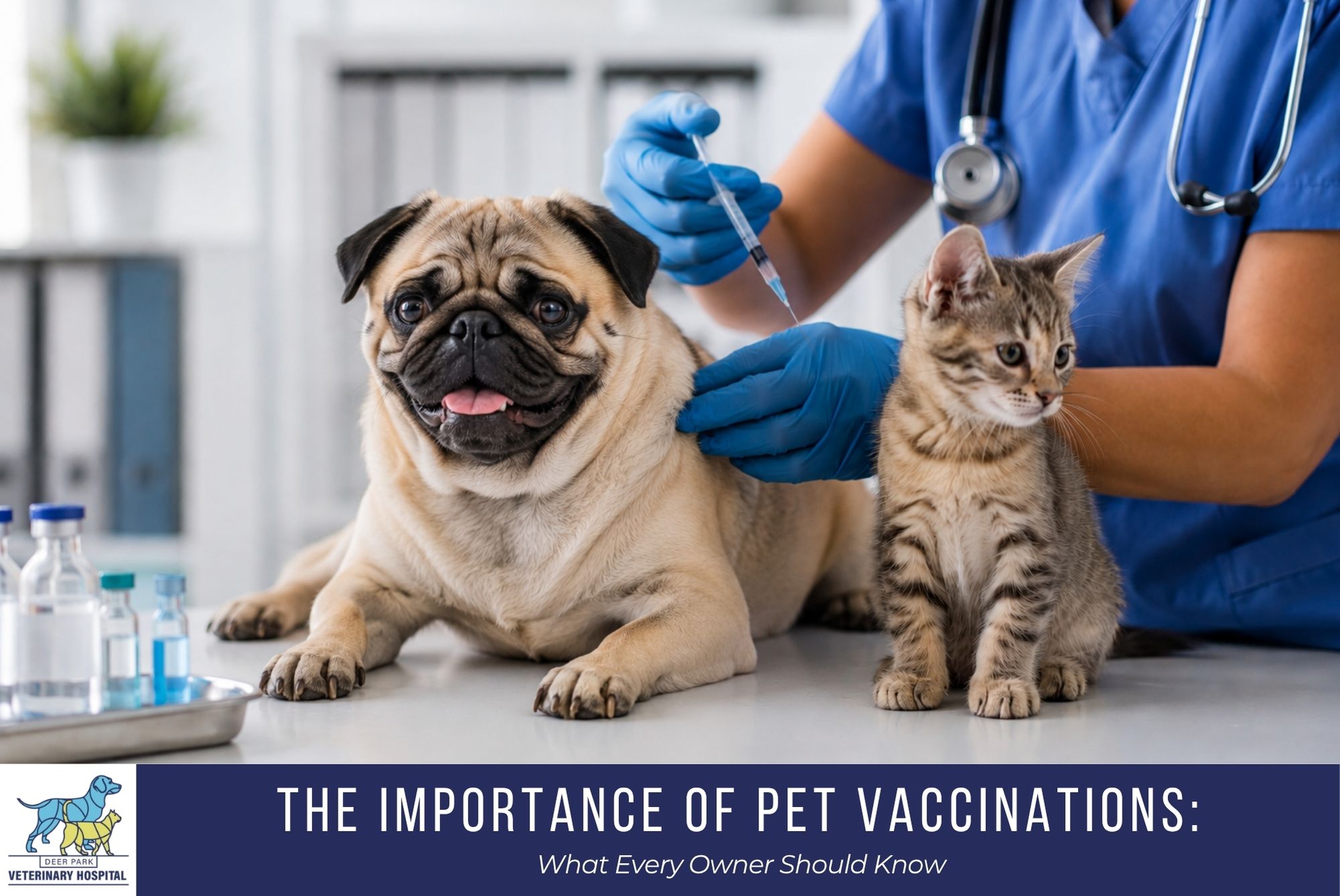 The Importance of Pet Vaccinations What Every Owner Should Know