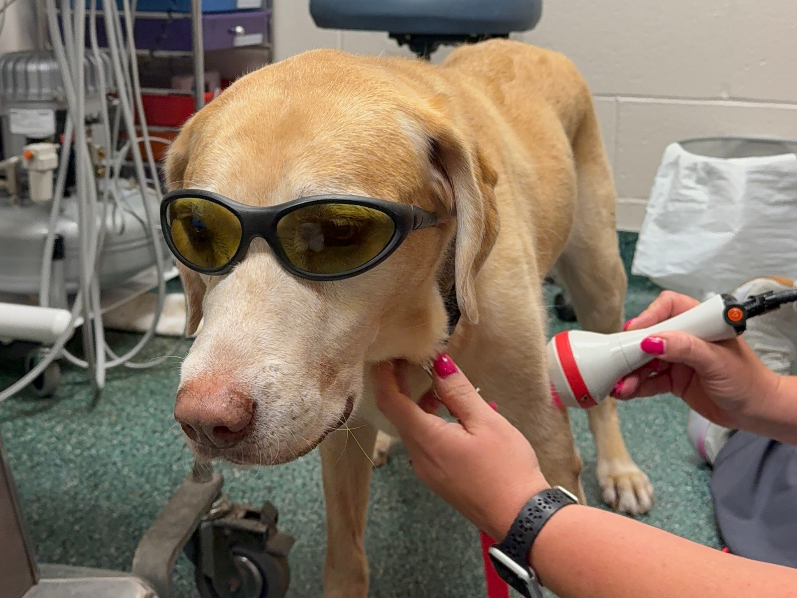 Diagnostics in Cincinnati
