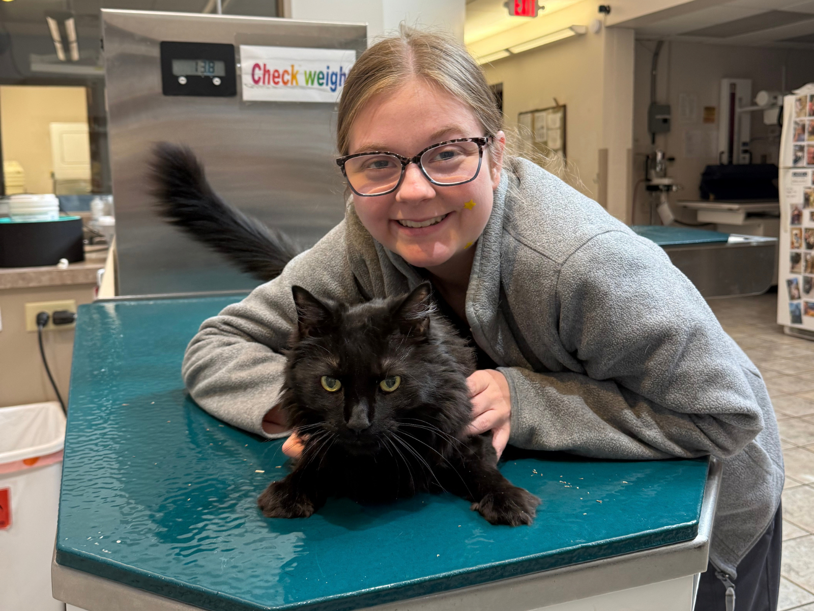 Welcoming pet wellness visit at Deer Park Veterinary Hospital